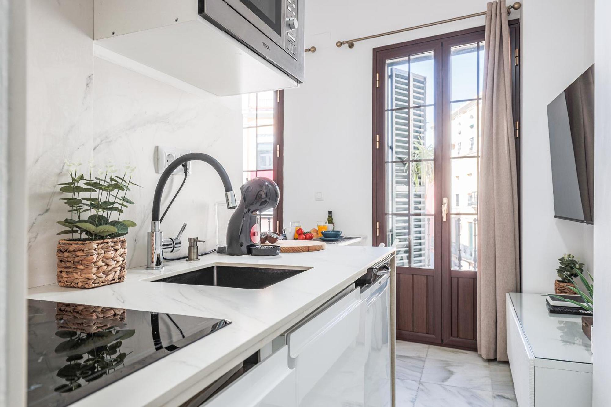 Bonito Duplex Con Terraza Calle Feria Apartamento *